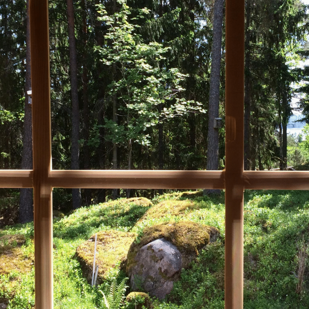 A view through a wooden-framed window looking out onto a lush green forest with large trees, mossy rocks, and dense undergrowth. The sunlight filters through the leaves, highlighting a serene natural landscape.