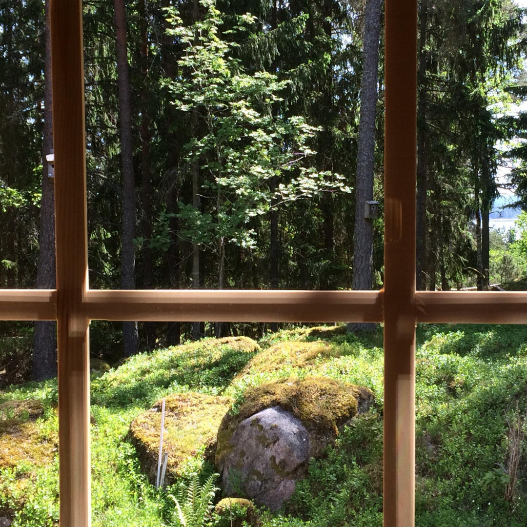 A view through a wooden-framed window looking out onto a lush green forest with large trees, mossy rocks, and dense undergrowth. The sunlight filters through the leaves, highlighting a serene natural landscape.